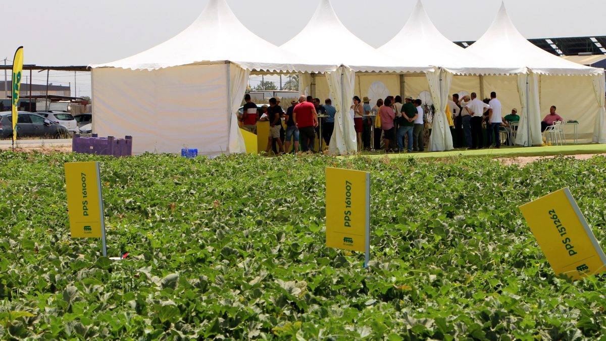 FITO-1.- Carpa-FitóWeek 2018 (1)|Fitoweek-23|Fitoweek-2018-piel-de-sapo|FITO-1.- Carpa-FitoWeek 2018 (4)|FITO-1.- Carpa-FitooWeek 2018 (3)|Fitowek-4|FitoWeek branco|Fitoweek-1|Fitoweek 2018-Galia